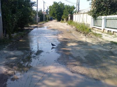 Прикрепленное изображение: 1.jpg